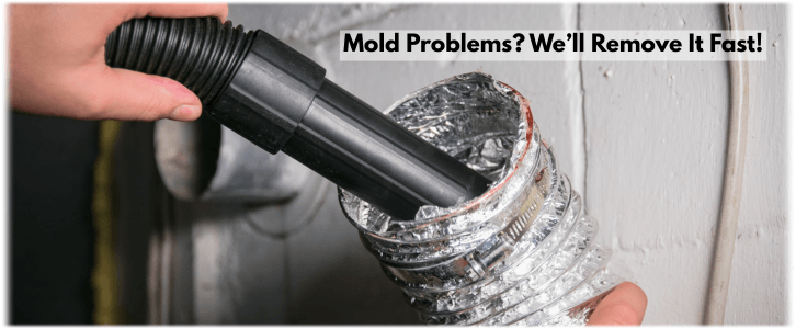 Air Duct Mold Removal in Phoenix AZ