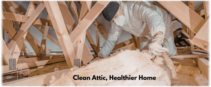 Attic Cleaning Phoenix AZ