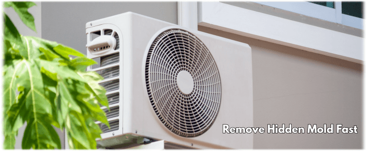 HVAC Mold Removal Phoenix AZ